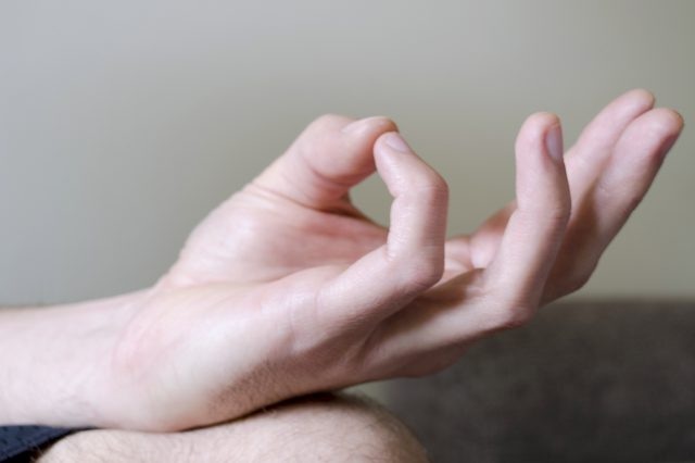 Buddhi mudra